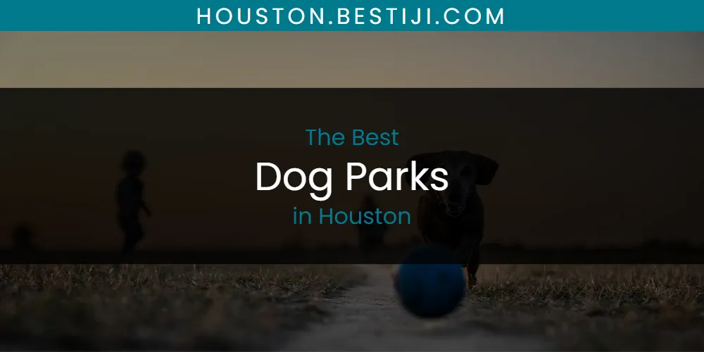 The Absolute Best Dog Parks in Houston  [Updated 2025]