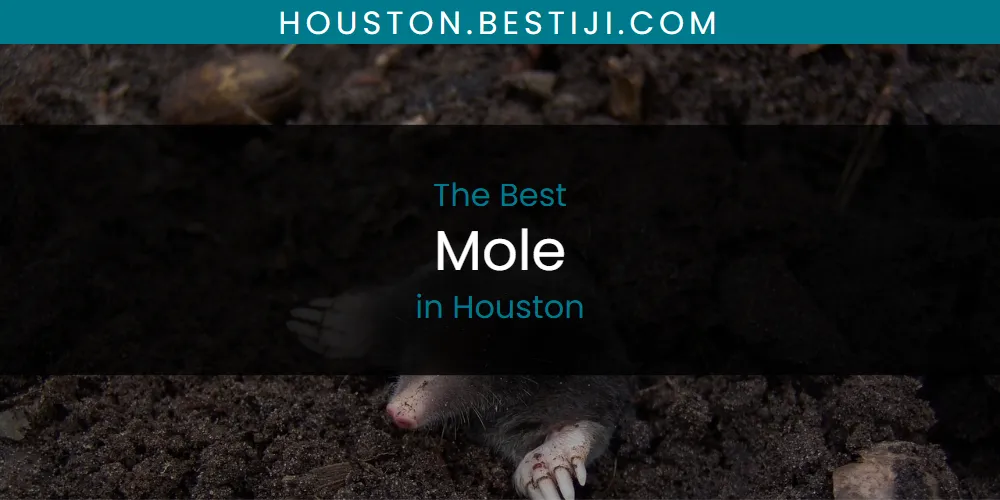 The Absolute Best Mole in Houston  [Updated 2025]